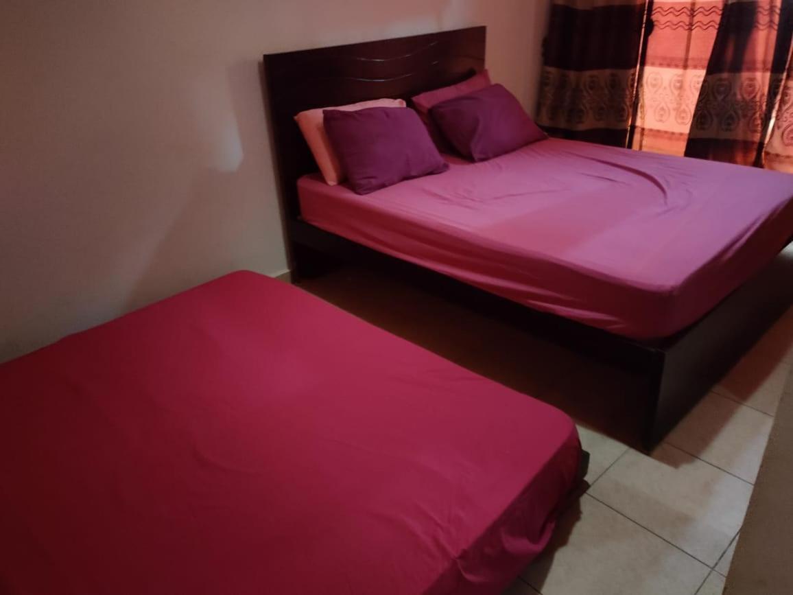 Mohamed Afifi Bluebay Asia - Families - Ground 2 Bed Rooms アインソフナ エクステリア 写真